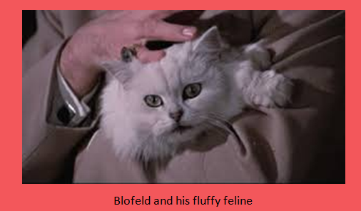 blofeld and feline